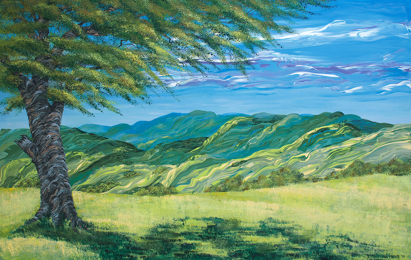 Carmel Valley Meadow