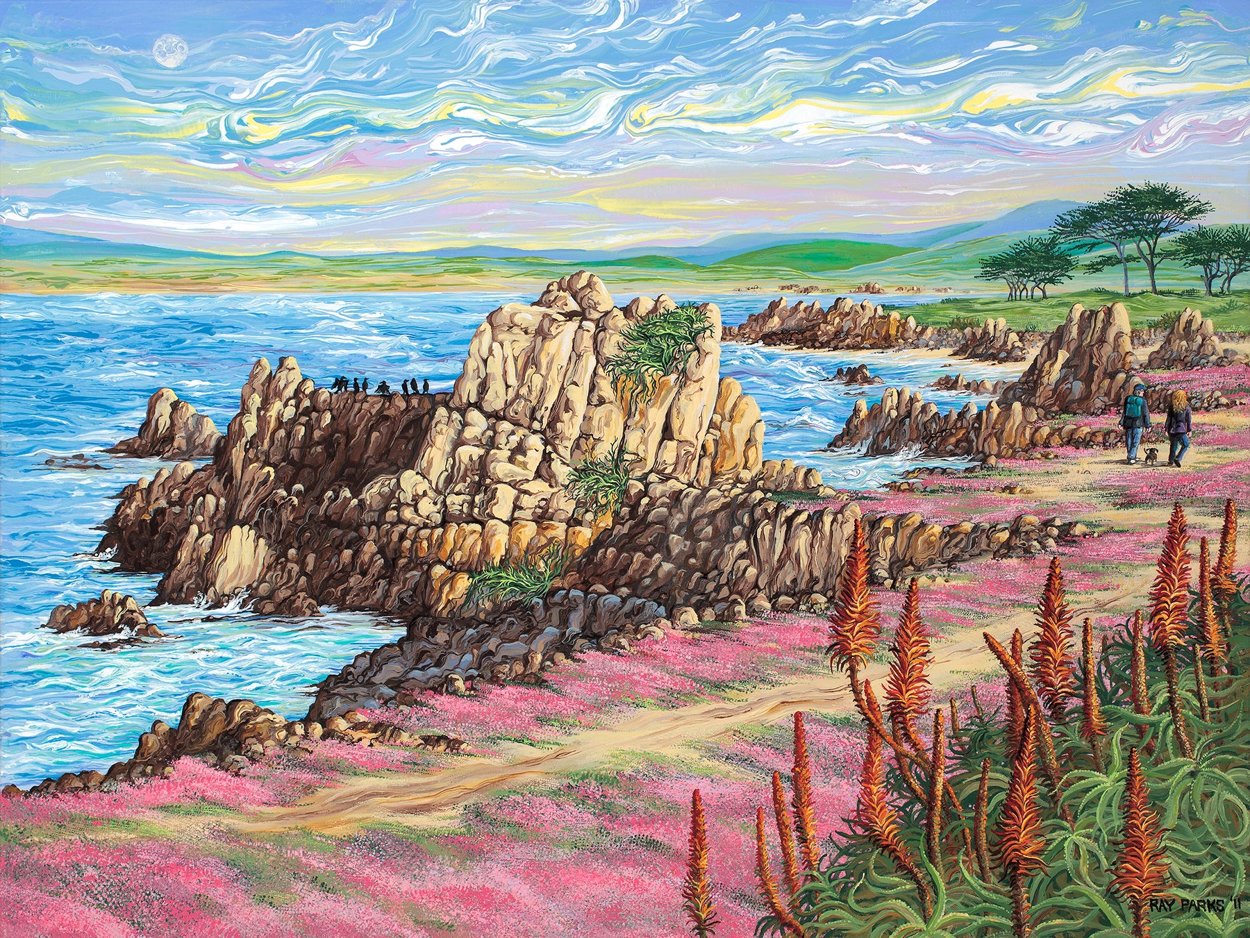 Pacific Grove Cormorants Basking