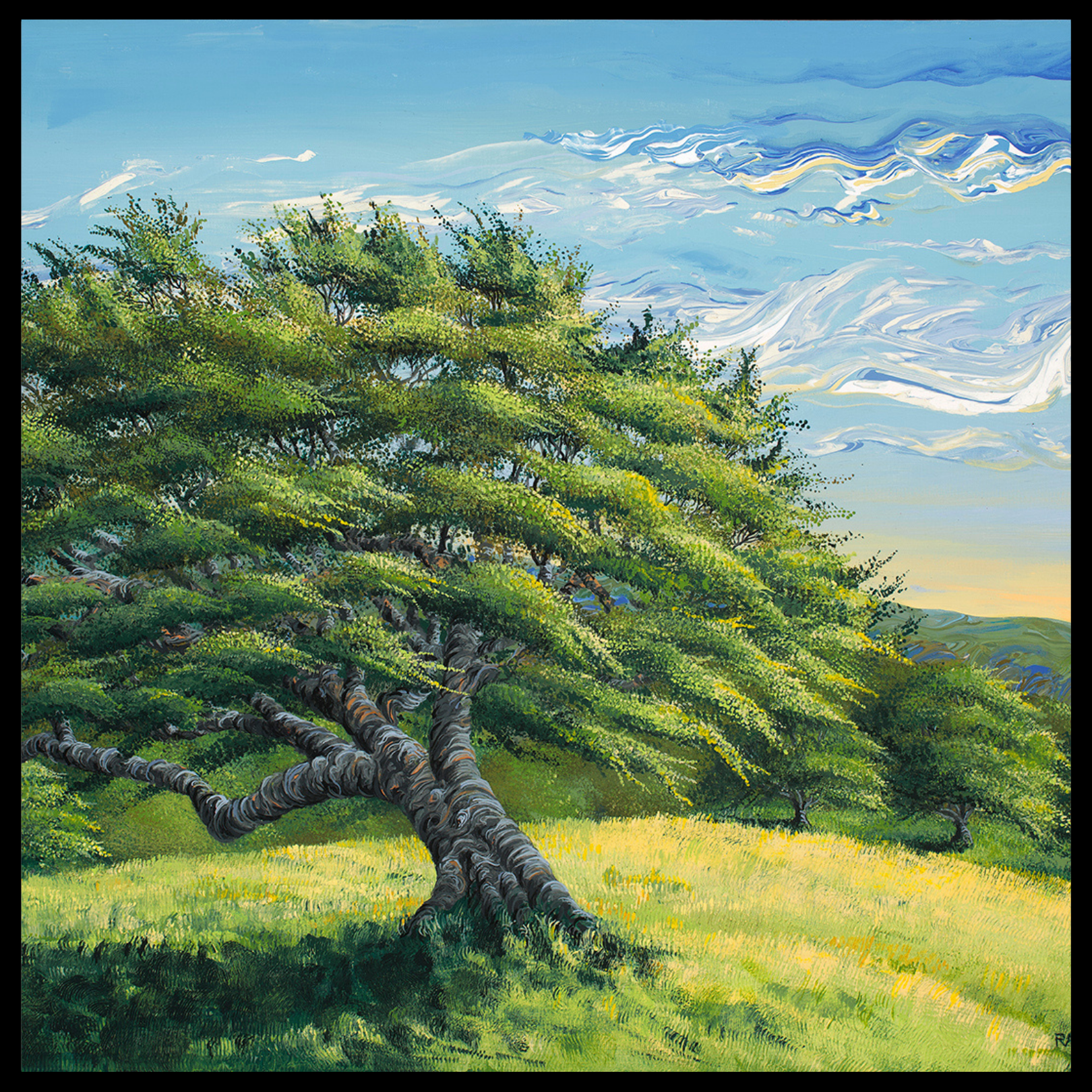 Vermeil Ranch