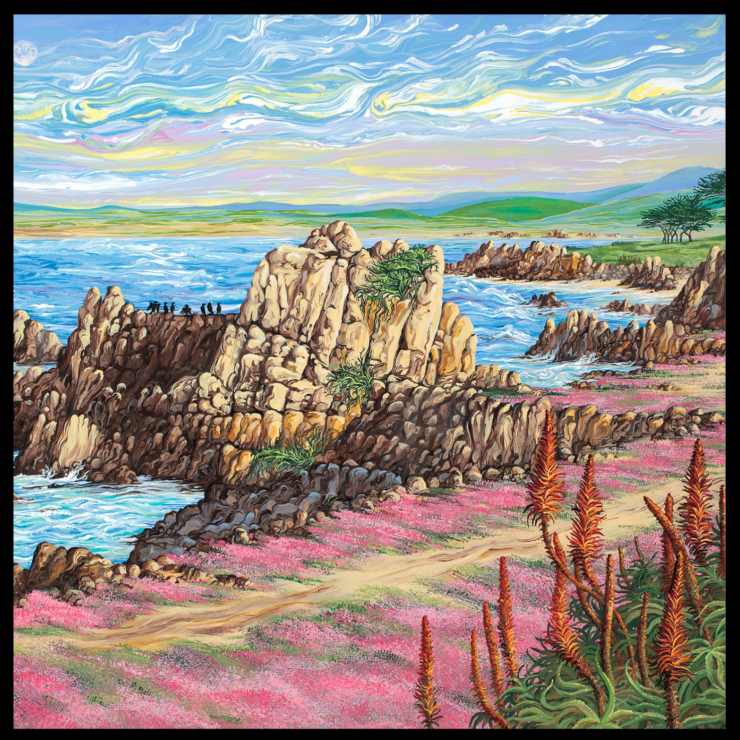 Pacific Grove Cormorants Basking