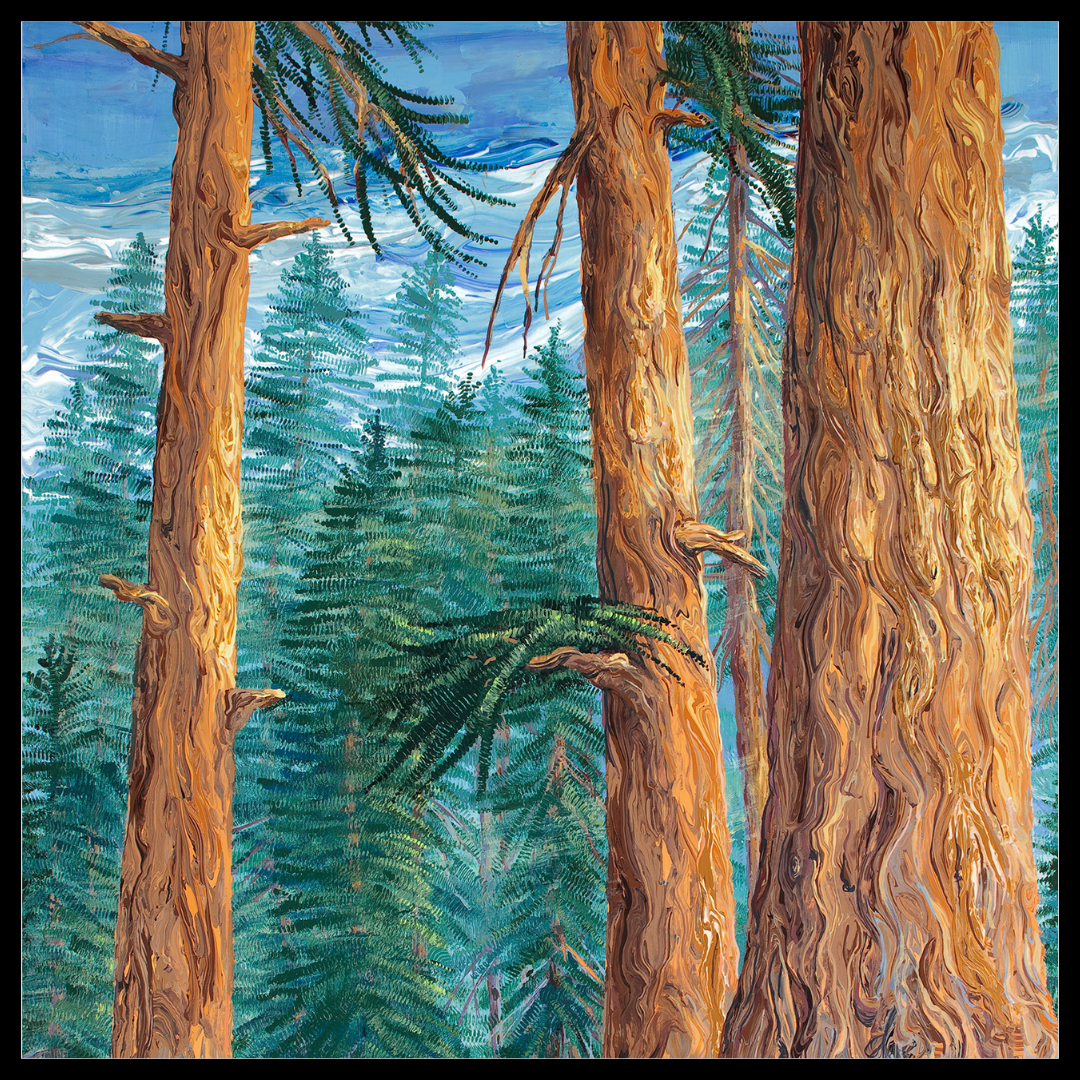 Yosemite Mariposa Grove