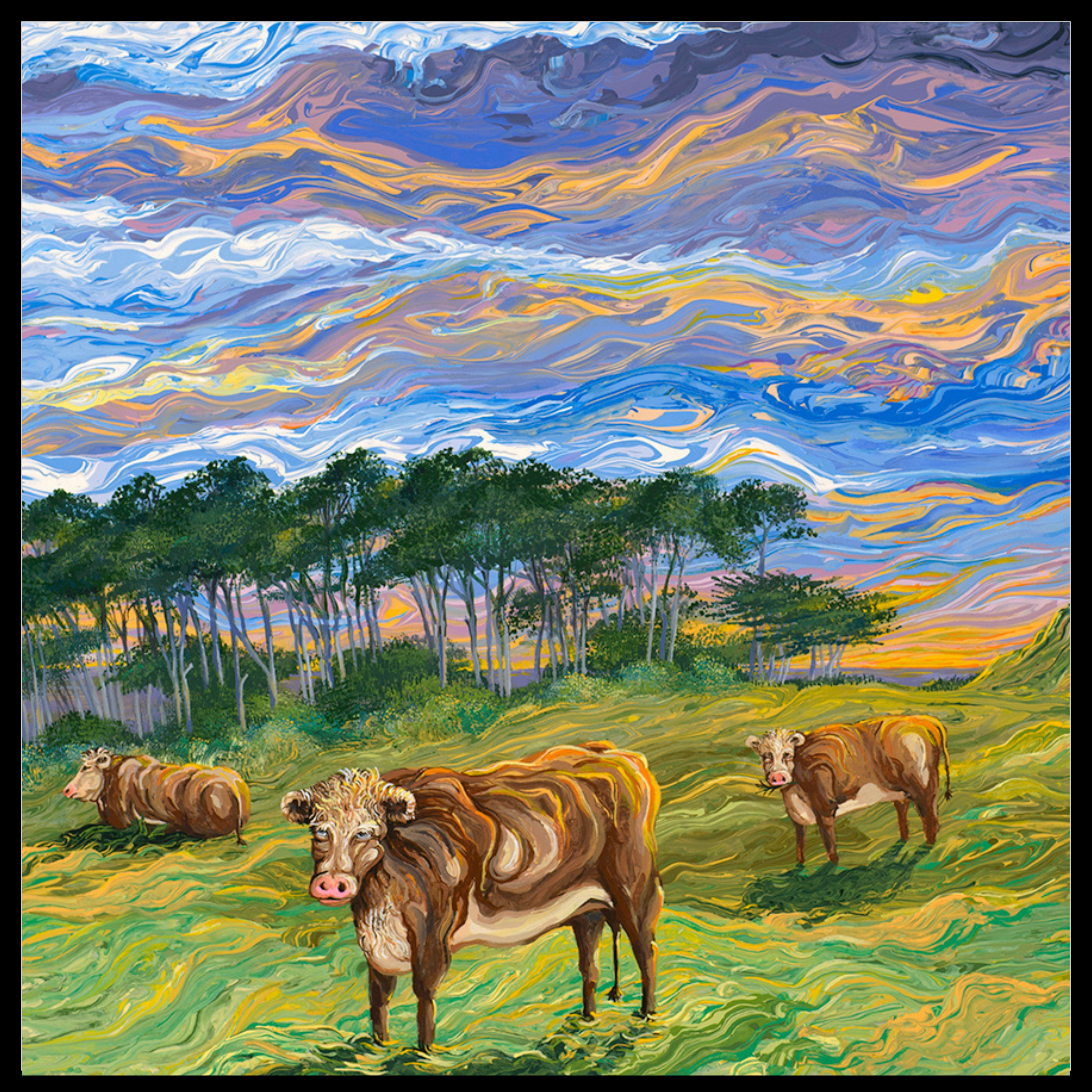 Big Sur Cows